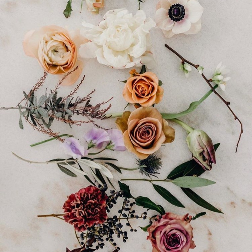 Meet your Posher, Aixa